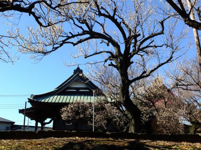 東方天満宮（ひがしがた）
