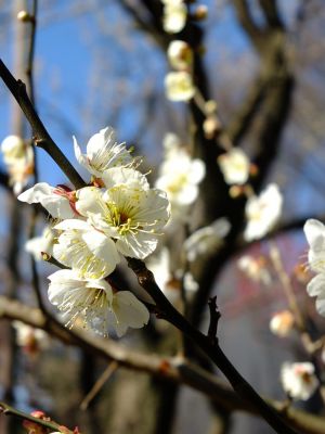 東方天満宮（ひがしがた）
