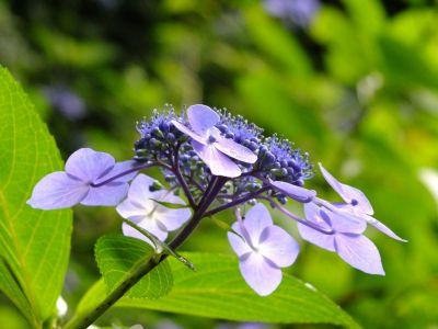 都筑中央公園ばじょじ谷戸
