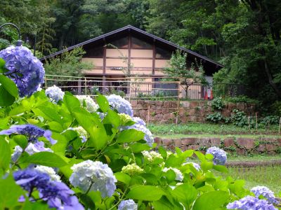 都筑中央公園ばじょじ谷戸
