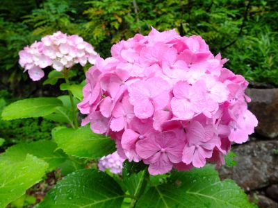 都筑中央公園ばじょじ谷戸
