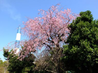東方公園
