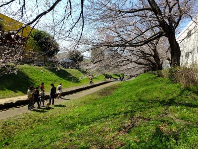 江川せせらぎ緑道
