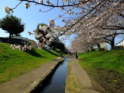 江川せせらぎ緑道
