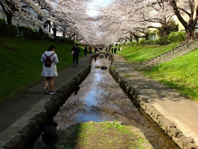 江川せせらぎ緑道
