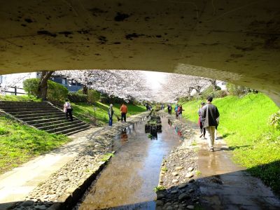江川せせらぎ緑道
