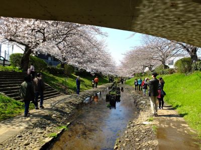 江川せせらぎ緑道
