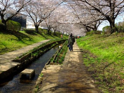 江川せせらぎ緑道
