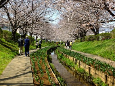 江川せせらぎ緑道
