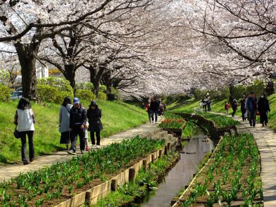 江川せせらぎ緑道
