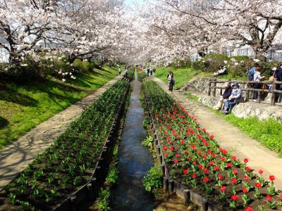 江川せせらぎ緑道
