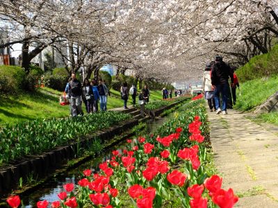 江川せせらぎ緑道
