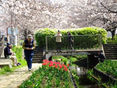 江川せせらぎ緑道

