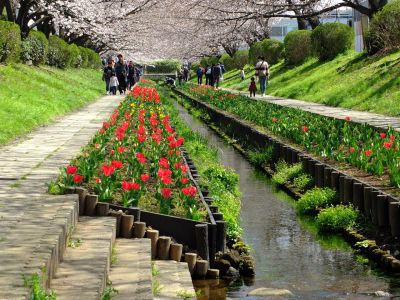 江川せせらぎ緑道
