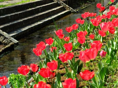江川せせらぎ緑道
