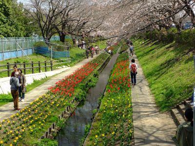 江川せせらぎ緑道
