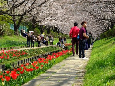 江川せせらぎ緑道
