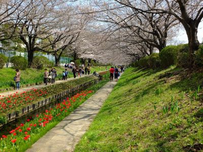 江川せせらぎ緑道
