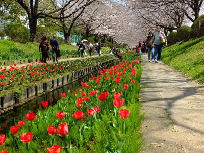 江川せせらぎ緑道
