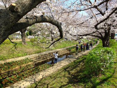 江川せせらぎ緑道
