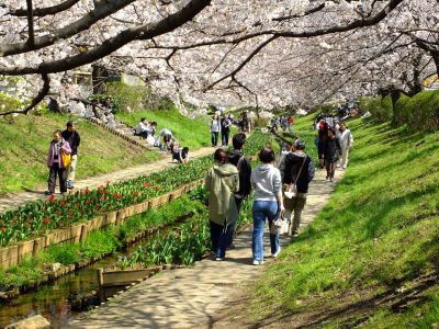 江川せせらぎ緑道

