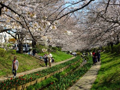 江川せせらぎ緑道
