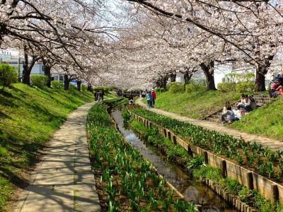 江川せせらぎ緑道
