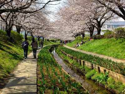 江川せせらぎ緑道
