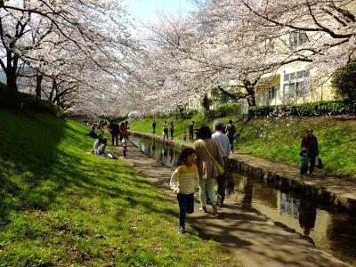 江川せせらぎ緑道
