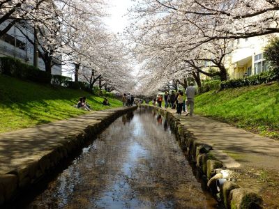 江川せせらぎ緑道
