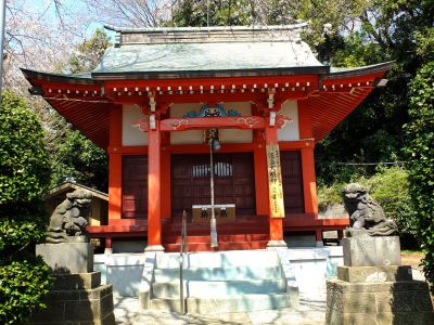 淡島神社の染井吉野
