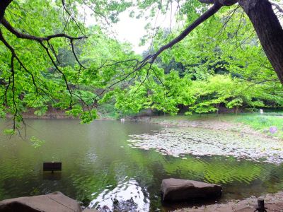 都筑中央公園（金蘭）
