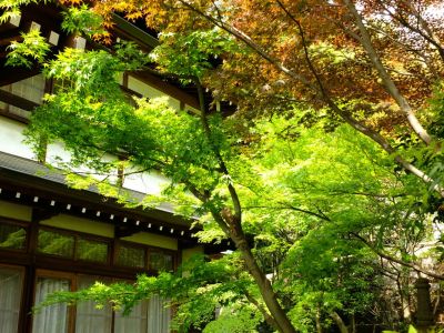 心行寺（浄土宗）
