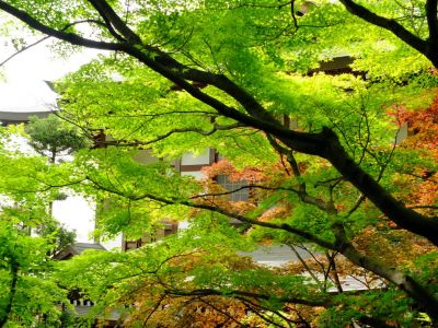 心行寺（浄土宗）
