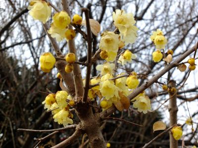 荏田南町ろうばい
