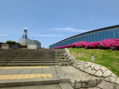 横浜国際プールのつつじ
