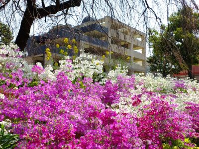 荏田近隣センター
