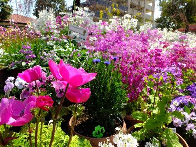 荏田近隣センター
