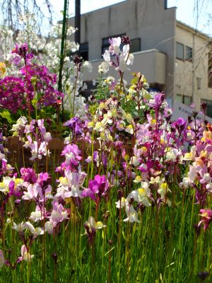 荏田近隣センター
