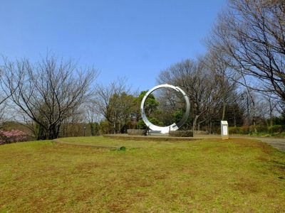 都筑中央公園の横浜緋桜
