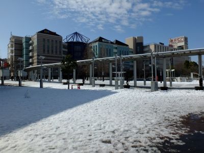 センター南駅前
