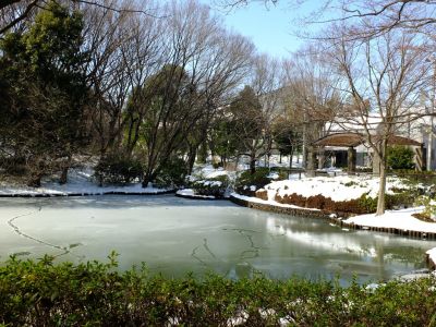 茅ヶ崎公園
