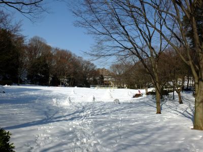 茅ヶ崎公園
