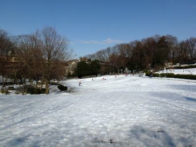 茅ヶ崎公園
