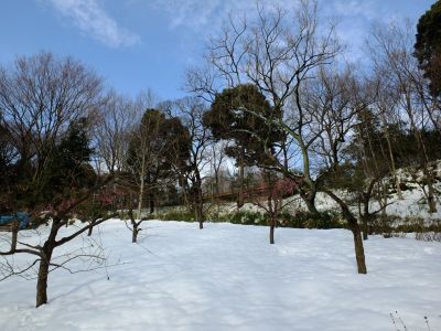 都筑中央公園

