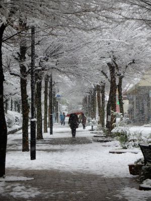 荏田近隣センター
