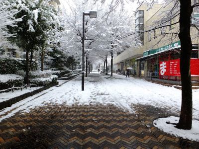 荏田近隣センター
