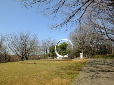 都筑中央公園（染井吉野）
