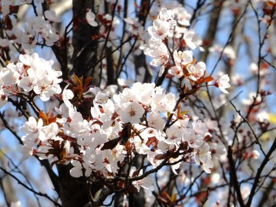 荏田南5丁目（桃源郷）
