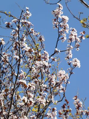 荏田南5丁目（桃源郷）
